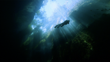 Cuba, the Green Island: a Paradise on the Brink