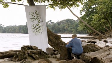 A Life in the Tropical Forest