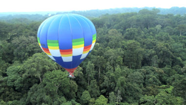 A Life in the Tropical Forest