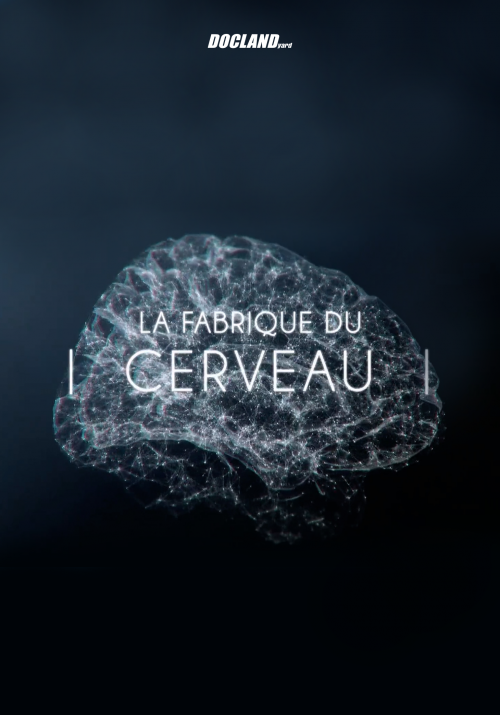 La fabrique du cerveau en accès libre pour un mois