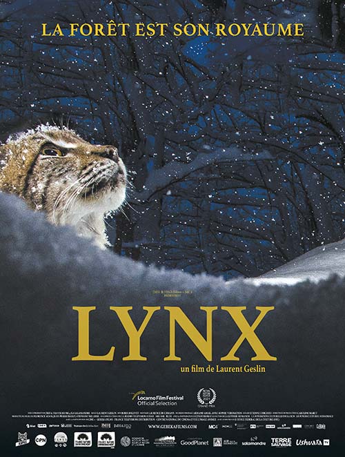 LYNX ACTUELLEMENT AU CINÉMA