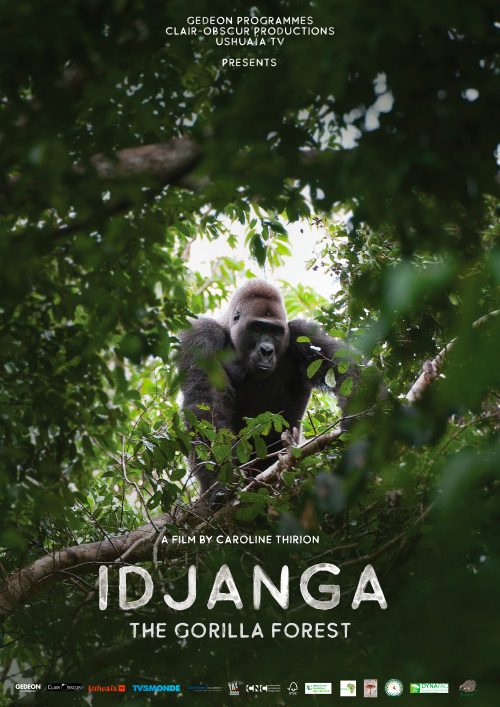 IDJANGA - the gorilla forest