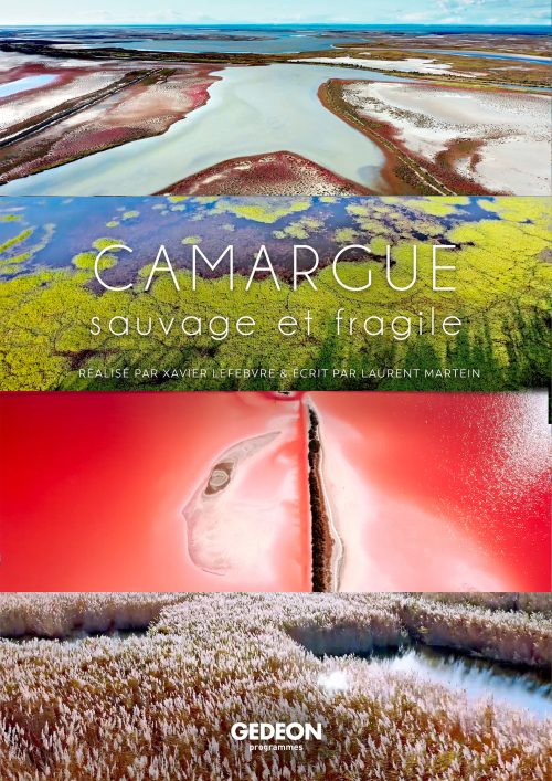 CAMARGUE, sauvage et fragile - Diffusion inédite