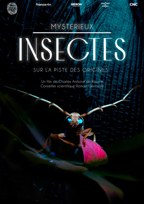 MYSTÉRIEUX INSECTES, sur la piste des origines - Diffusion inédite