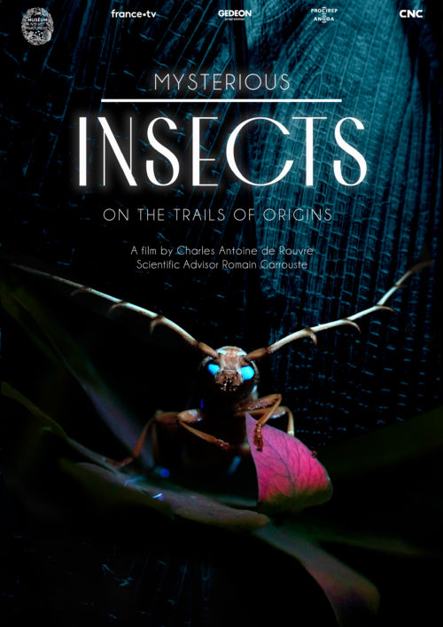 MYSTERIOUS INSECTS, on the trails of origins - Airs on France 5